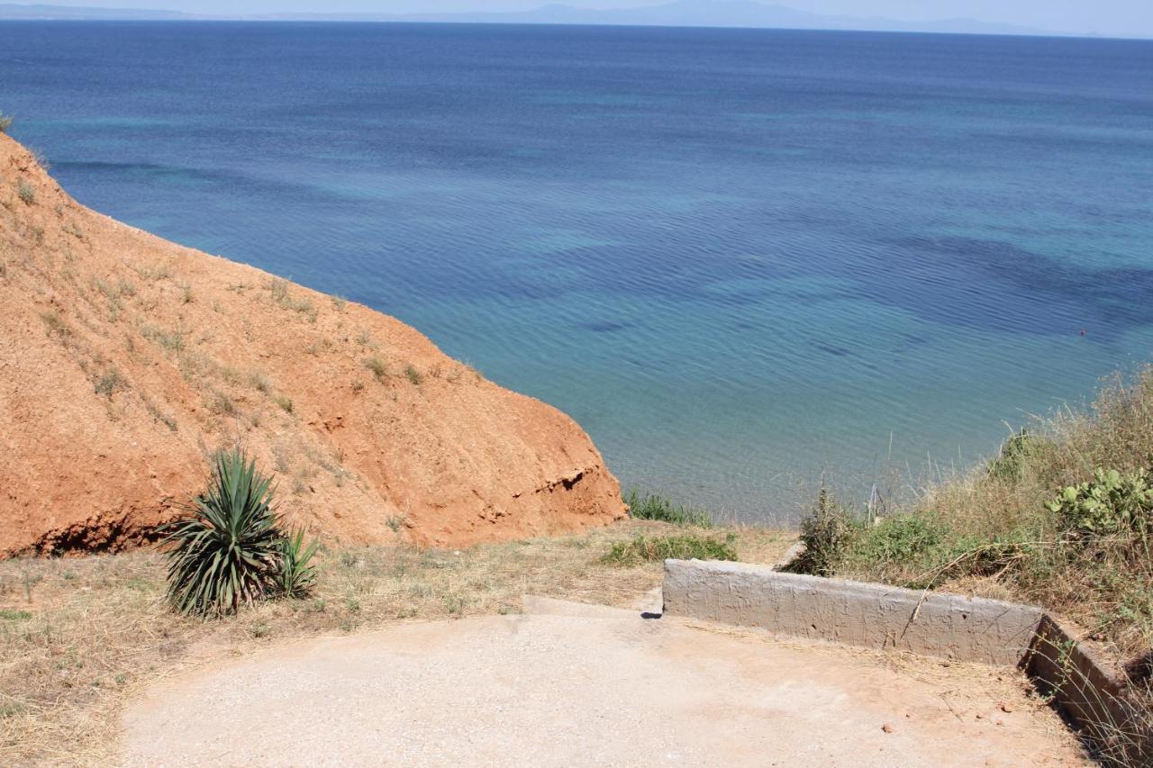 Panagiotis Anna View Βίλα Νέα Ποτίδαια Εξωτερικό φωτογραφία